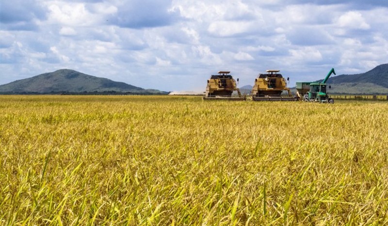 Exportações do agronegócio do Brasil em abril atingem US$ 10 bilhões