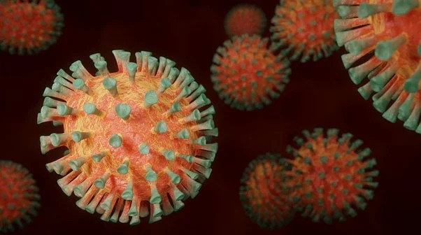Proporção da população com anticorpos do novo coronavírus aumenta 53%
