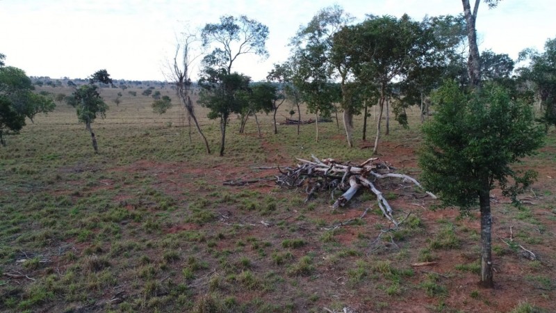 PMA usa drone e GPS para caracterização de desmatamento ilegal e autua infrator