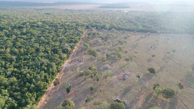 Com ajuda de drone, PMA identifica desmatamento ilegal autua proprietário 