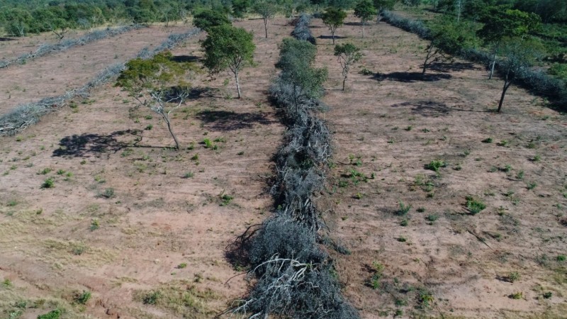 PMA autua infrator em R$ 33 mil por desmatamento ilegal de 33 hectares 