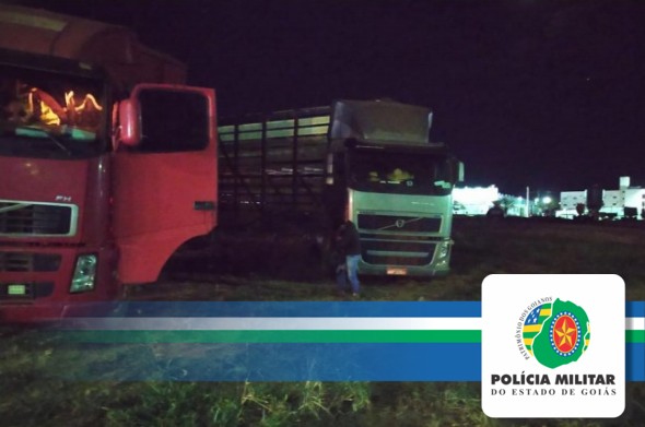 Polícia Militar recupera 143 cabeças de gado roubadas em Mineiros, Goiás