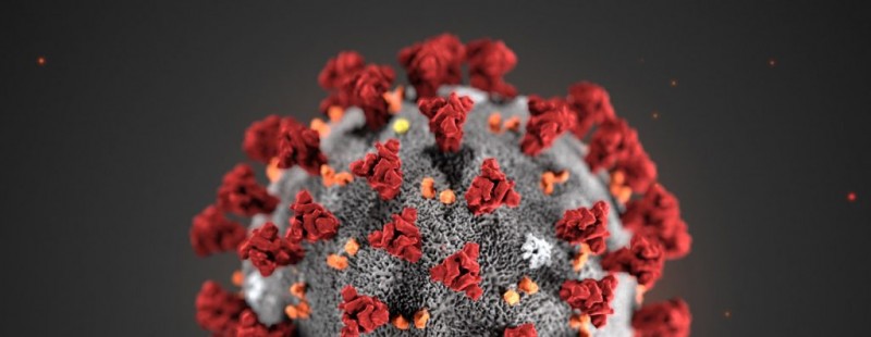 Uma ilustração digital do coronavírus mostra sua aparência com formato de coroa. Foto: Centro de Controle e Prevenção de Doenças