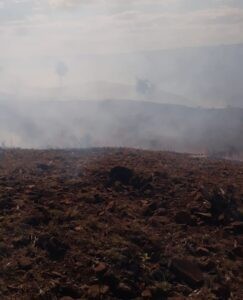 Bombeiros alertam motoristas sobre risco de acidente na Serra do Sucuriú 