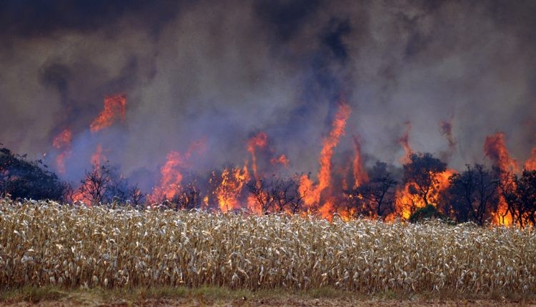 Bombeiros de Chapadão do Sul alertam fazendeiros da região para os incêndios