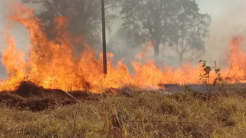 Sem Bombeiros, populares apagam incêndio próximo ao aeroporto em Cassilândia