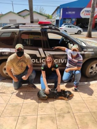 Polícia Civil resgata animais vítimas de maus-tratos em Caiapônia