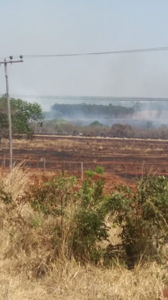 Fotogaleria - Fogo está queimando fazendas desde a madrugada em Aparecida