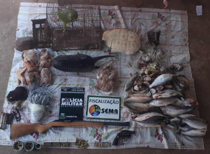 Sema apreende pescado, animais e aves silvestres e armas em Água Boa, MT
