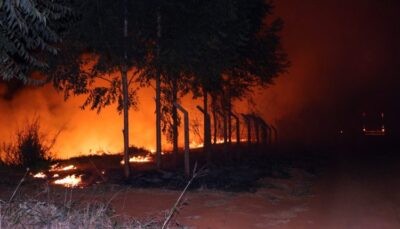 O fogo se aproximou e ameaçou experimentos na UFMS. Foto: Ocorreionews