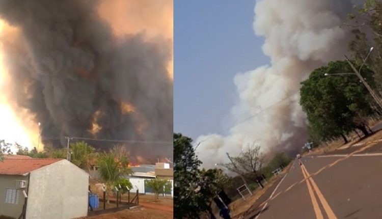 Incêndio se alastrou rapidamente e destruiu área. Imagem: Reprodução / JP News