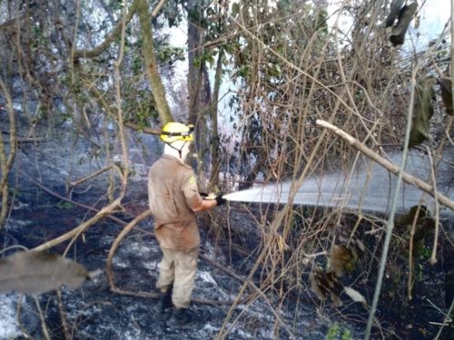Polícia Civil indicia suposto causador de incêndio no bairro Morada do Sol