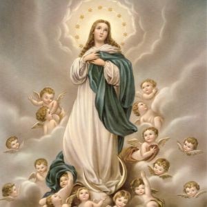Santo do Dia: Nossa Senhora da Imaculada Conceição
