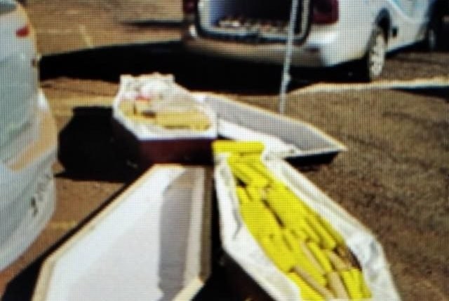 Grupo transportava a droga em caixões (Foto: PF)
