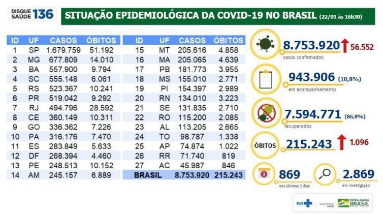 Número de casos de covid-19 chega a 8,75 milhões no Brasil