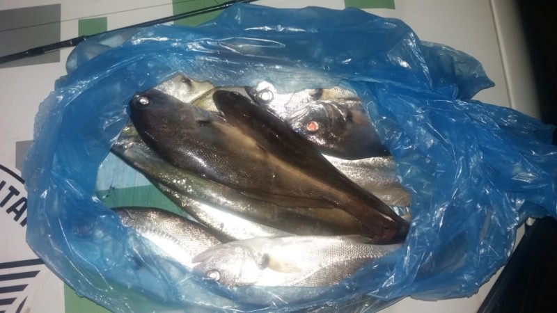 Polícia Ambiental multa homens em mais de R$ 7,2 mil por pesca proibida
