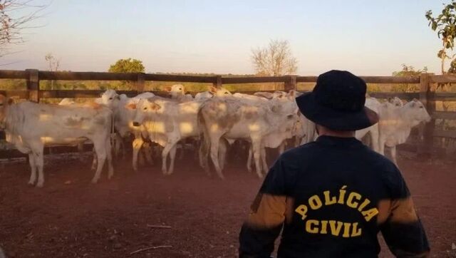 Com delegacia especial ativada, polícia faz operação contra furto de gado em MS