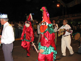 Folia de Reis no carnavalGenivaldo Nogueira