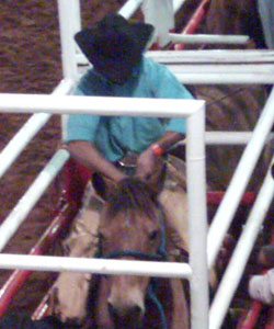 Peão preparando o cavalo para montariaBruna Girotto