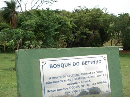 Bosque do BetinhoBruna Girotto
