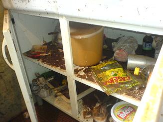 Armários, sofás, comidas e geladeira: nada ficou intacto em casa, segundo IdelurdesGuilherme Girotto