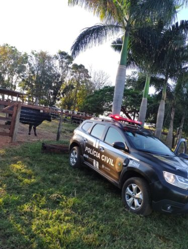 Pol&iacute;cia Civil recupera gado furtado na zona rural de Morrinhos