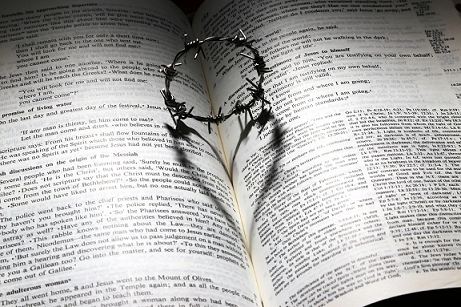 P&eacute;rolas Di&aacute;rias de Sabedoria - Confie no prop&oacute;sito divino: a lei de Romanos 8.28 na sua vida