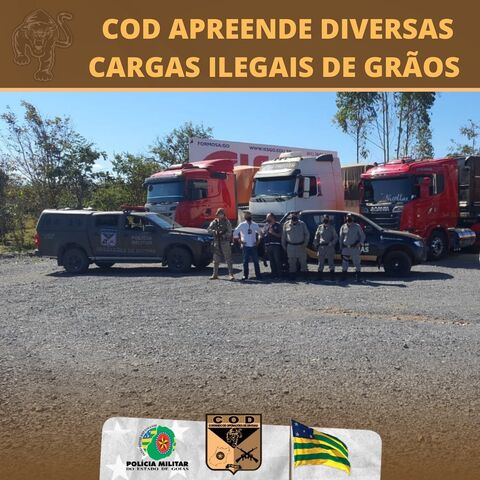Goiás: em ação conjunta polícia prende 'pessoas envolvidas em roubos de cargas de defensivos