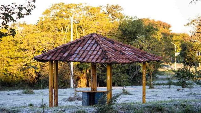 Fotogaleria: leitores enviam fotos da geada desta manh&atilde; em Cassil&acirc;ndia e Regi&atilde;o