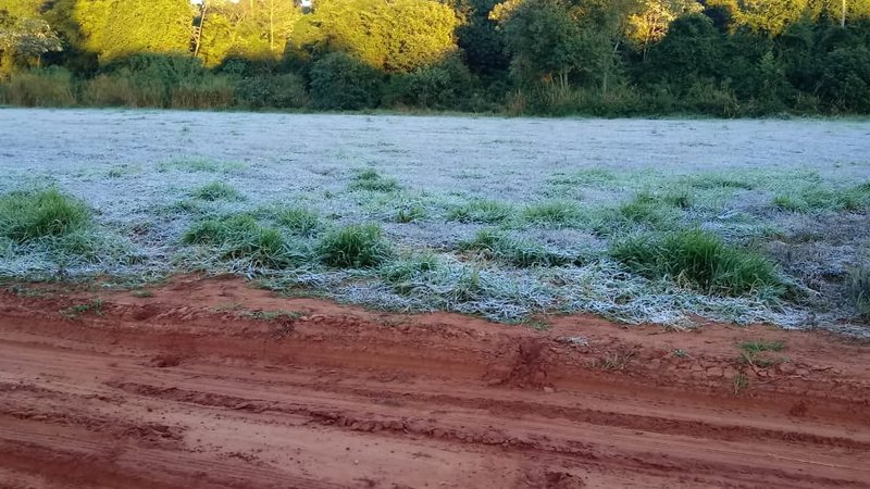 Quarta-feira registra geada e sensação de até -11ºC em cidades de MS