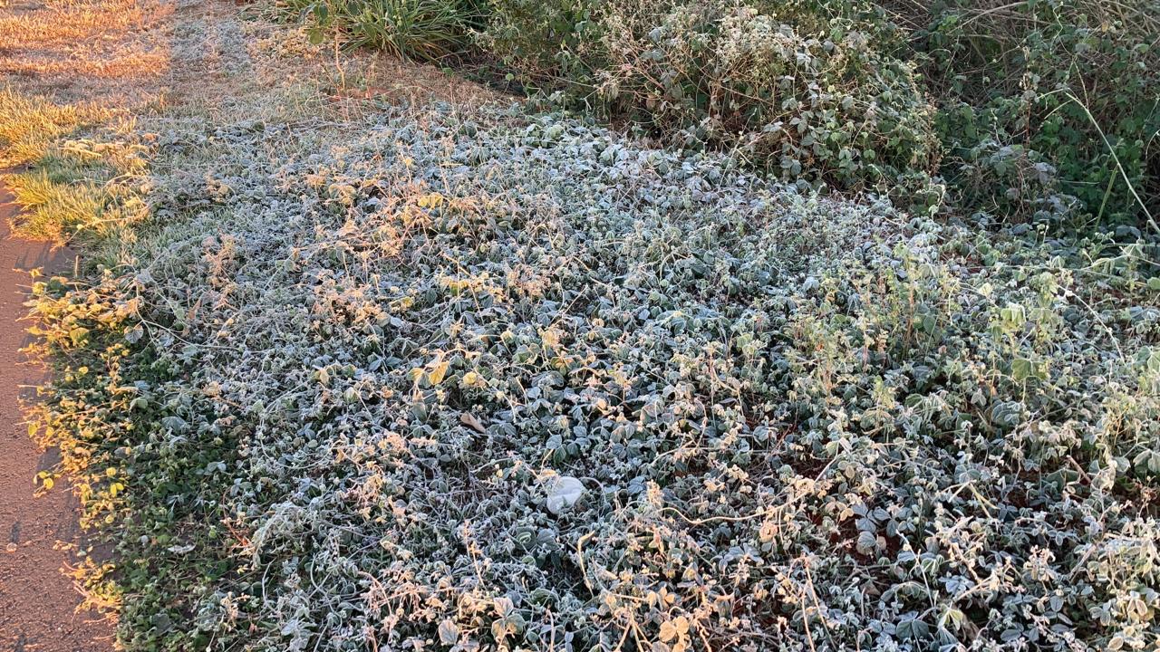 Fotos da geada em Casssil&acirc;ndia na madrugada desta quinta-feira; a temperatura chegou a 1 grau