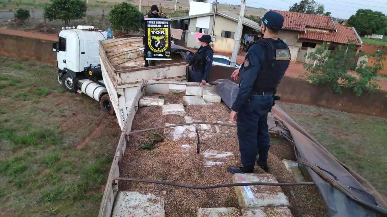 Em MS: pesagem confirma maior apreensão de maconha do país