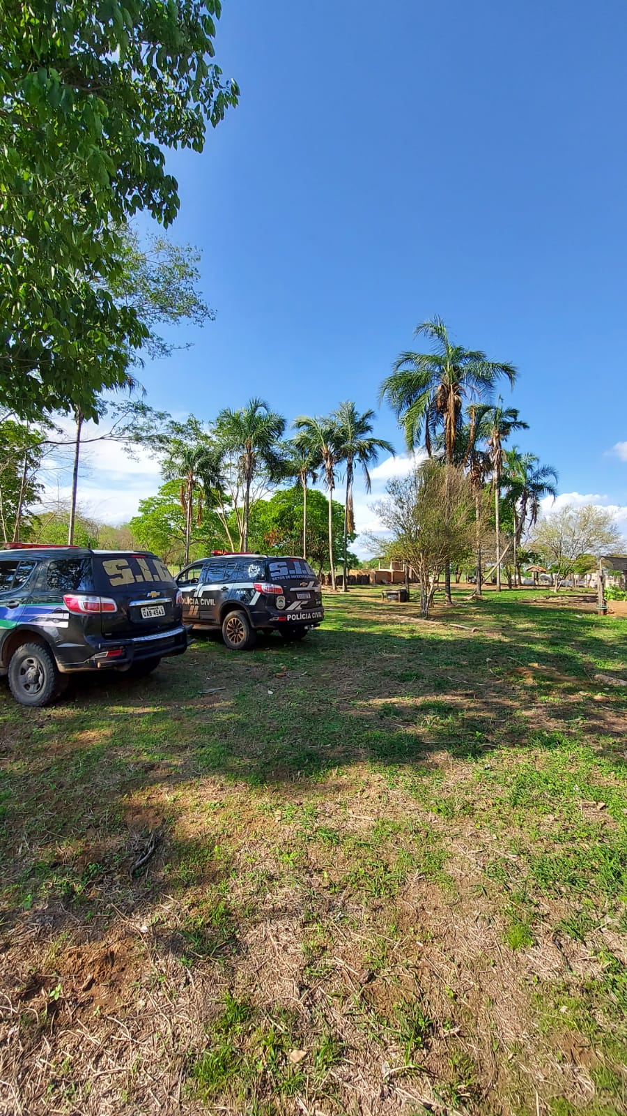 Fotogaleria: Pol&iacute;cia Civil devolve animais furtados em confinamento de Cassil&acirc;ndia