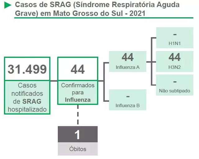 Rapaz de 21 anos &eacute; 1&ordf; v&iacute;tima da cepa H3N2 da gripe