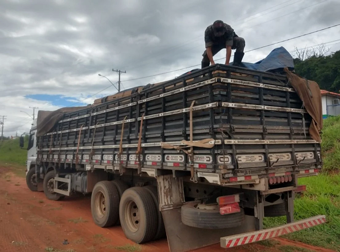Cassil&acirc;ndia: PMA apreende carreta com carga de madeira irregular