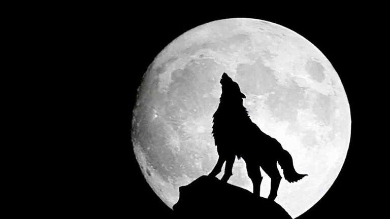 'Lua do Lobo' será vista em MS nesta segunda e dá início à temporada de Superluas de 2022