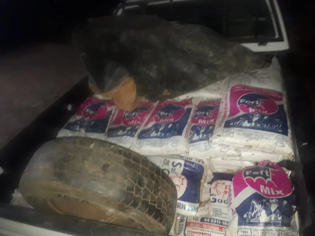 Cassil&acirc;ndia: Policiais Civis prendem suspeitos de furto de sal mineral na BR 158