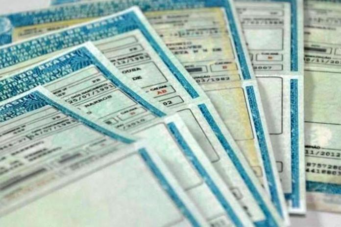 Cerca de 31 mil pessoas já se inscreveram no CNH MS Social em 24 horas