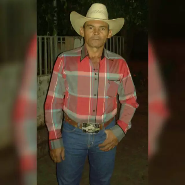 Trabalhador morre ap&oacute;s ser atacado por abelhas em fazenda