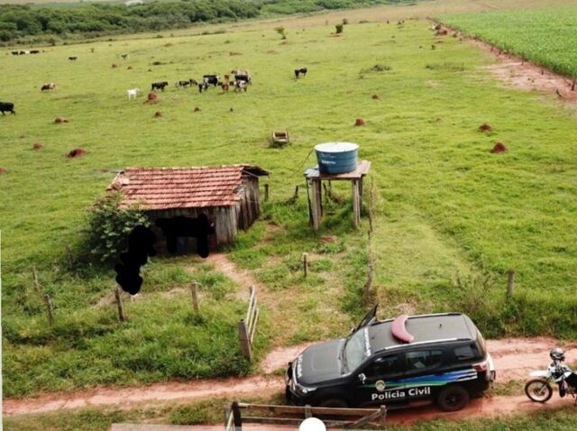Propriedade rural é invadida e ladrões carneiam gado para roubar carne 