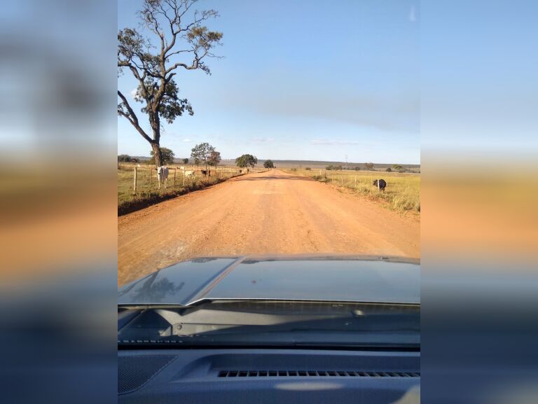 Leitor envia foto e comenta sobre a estrada rural da 7 Placas