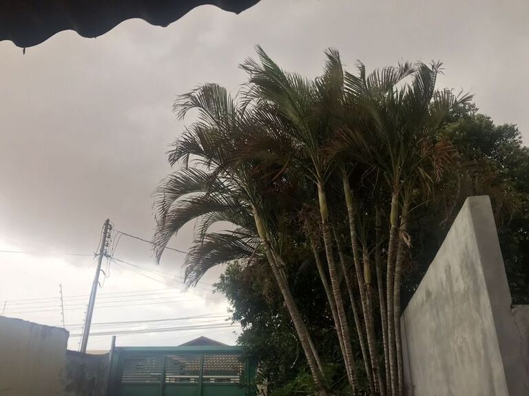 Felizardos: 12 municípios de MS prometem ter chuva no fim de semana