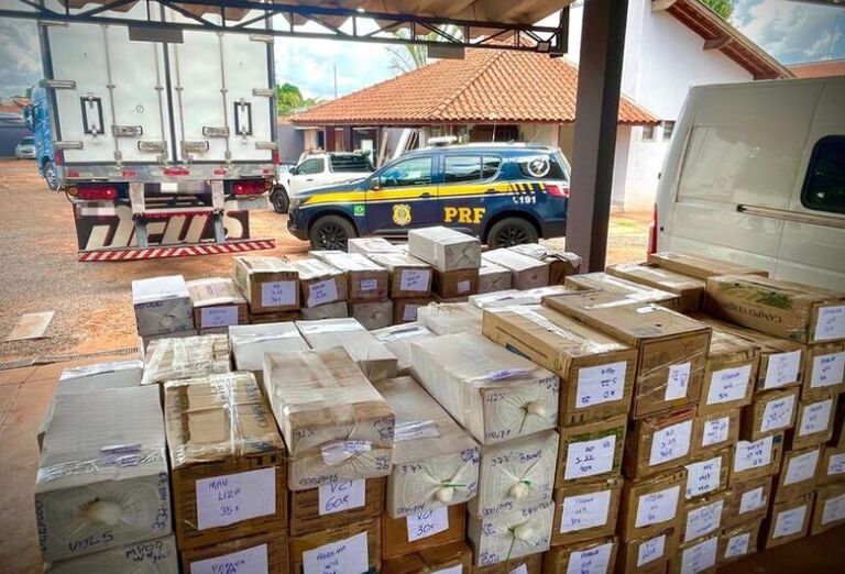 Chapadão do Sul: caminhão frigorífico levava 7,1 mil celulares escondidos em carga de carne