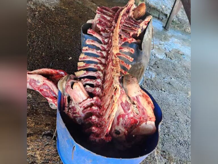 Em operação contra abate clandestino, 4,5 toneladas de carne são apreendidas