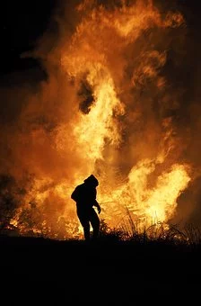 Governo autoriza aceiros com at&eacute; 30 metros para combater fogo no Pantanal 