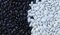 Receita do Dia: feij&atilde;o mexicano
