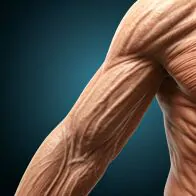 Mundo Fitness - A perda muscular na velhice: um desafio para a sa&uacute;de e qualidade de vida