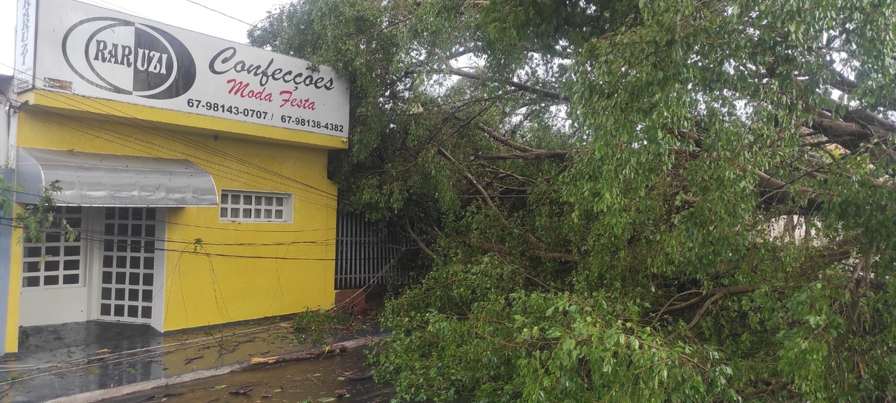 Fortes chuvas e ventos causam estragos em Cassil&acirc;ndia: cidade fica 1h30 sem energia el&eacute;trica