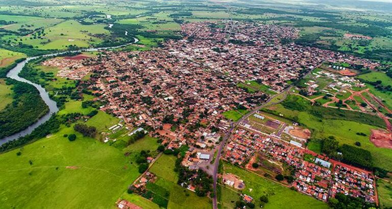 A história da rolinha que arrumou uma casa em Cassilândia; veja o vídeo