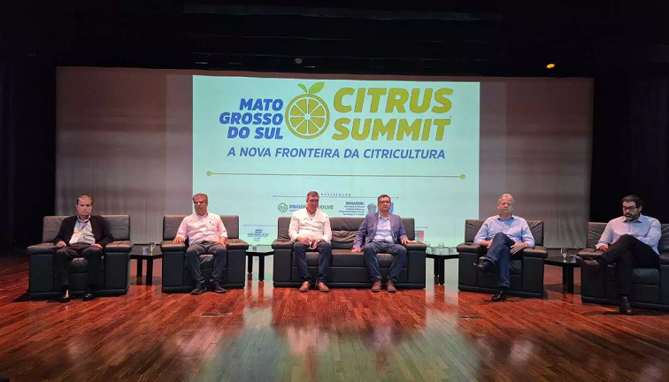 MS quer produzir melhor suco do Brasil com 100 mil hectares de laranja at&eacute; 2030 
